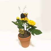 Save the dandelions, Save the honeybees!
